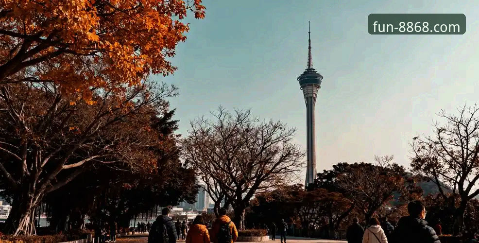 8868娱乐平台客服电话安装失败全面评测：新手避坑指南与解决方案